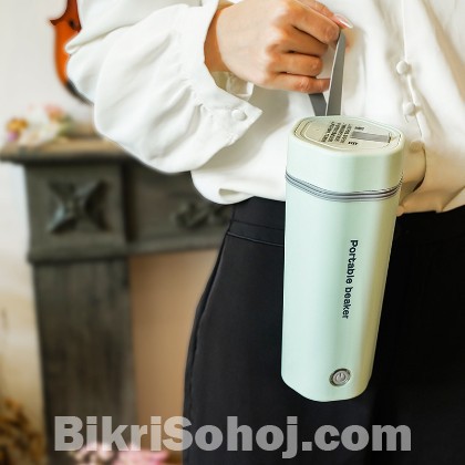 Portable electric kettle